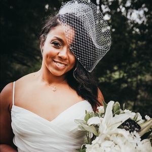 Birdcage veil